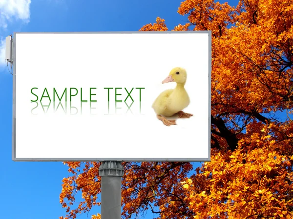 Velký billboard s podzimní pozadím — Stock fotografie