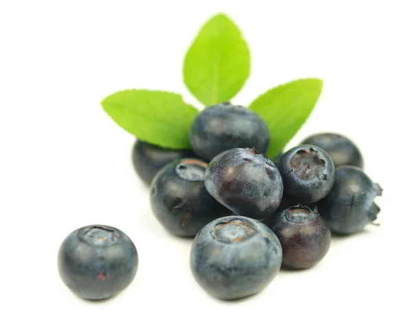 Fresh blueberries with green leaves — Stock Photo, Image