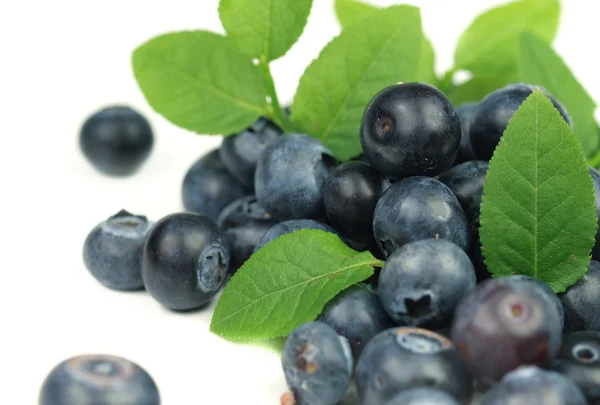 stock image Fresh blueberries with green leaves