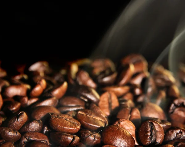 Kaffe korn bakgrund — Stockfoto