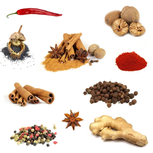 Samling av olika kryddor — Stockfoto