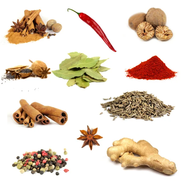 stock image Collection of various spices