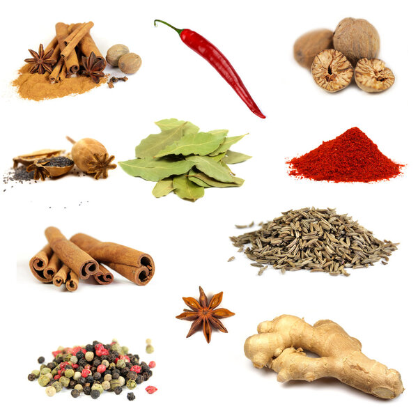 Collection of various spices