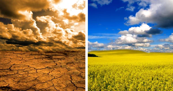 地球温暖化の影響 ロイヤリティフリーのストック画像