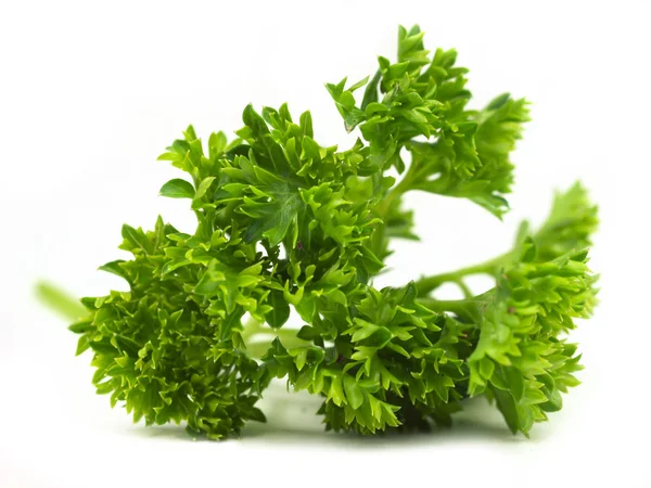 Fresh parsley on white background Royalty Free Stock Images