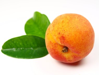 beyaz zemin üzerine taze kayısı