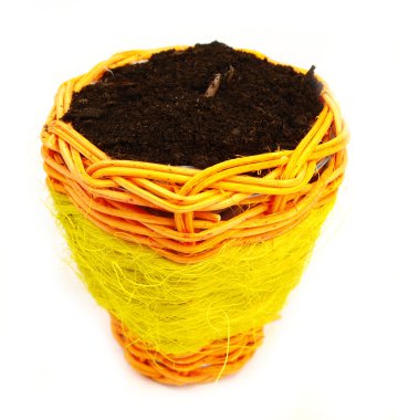 saksıyı beyaz zemin üzerine boyalı