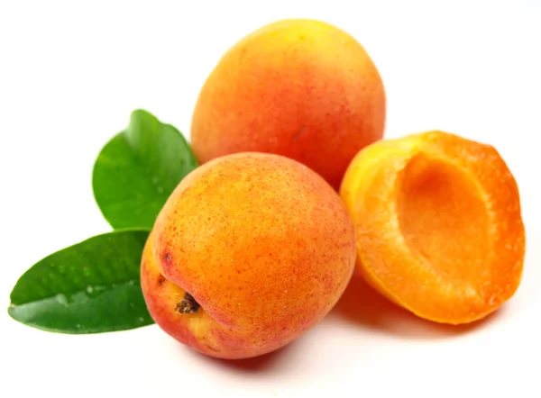 Verse abrikoos op witte achtergrond — Stockfoto