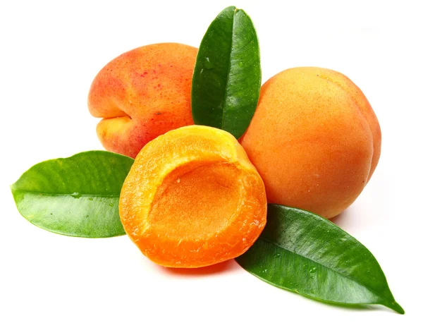 stock image Fresh apricot on white background