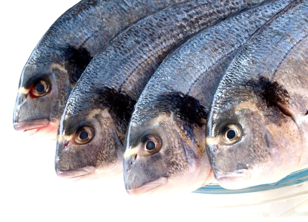 Beyaz izole çiğ deniz balıkları — Stok fotoğraf
