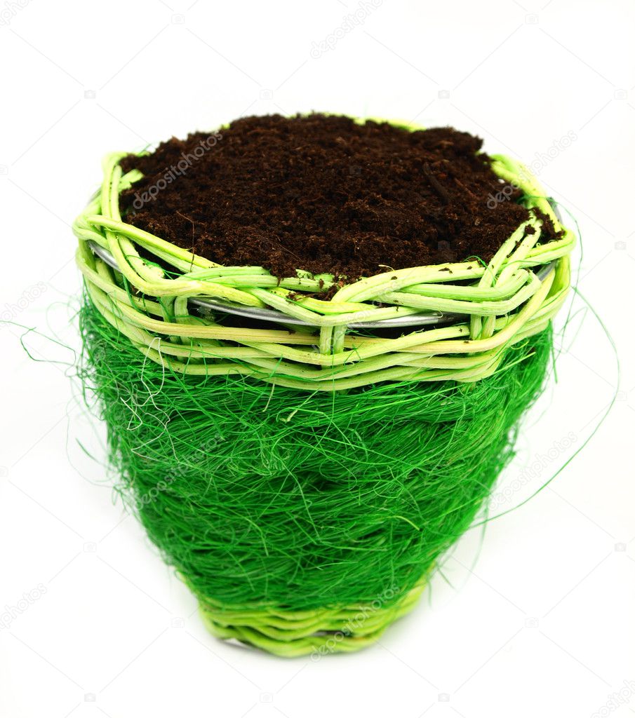 Painted flower pot on white background