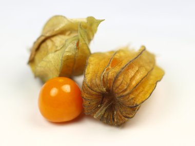 Gooseberry macro photo on white background clipart