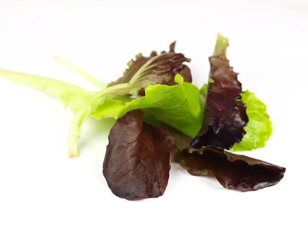 Roket salatası beyaz üzerine izole — Stok fotoğraf