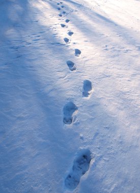 Winter path clipart