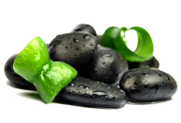 Gröna blad med spa stenar — Stockfoto