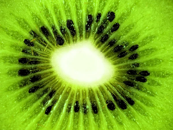 Juicy kiwi — Stock Photo, Image