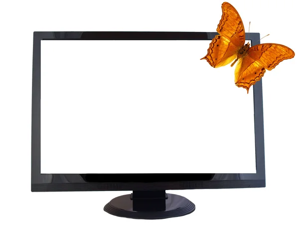 Moniteur LCD avec papillon, isolé sur blanc — Photo