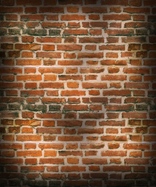 Old Brick wall background — Stock Photo, Image