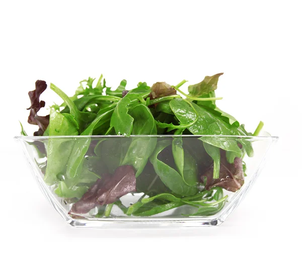 Frische Salatblätter über weiße — Stockfoto