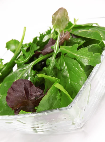 Verse salade laat over Wit — Stockfoto