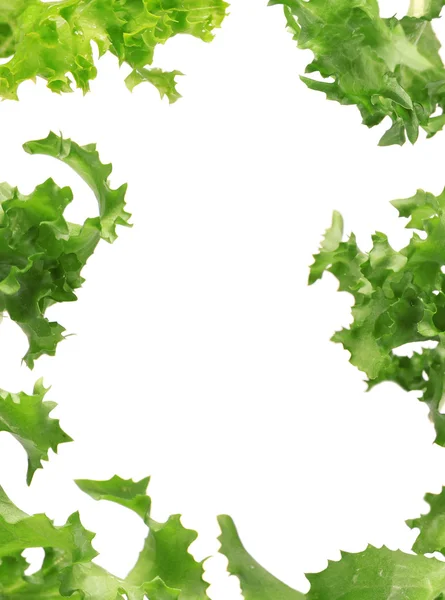 Salad background — Stock Photo, Image