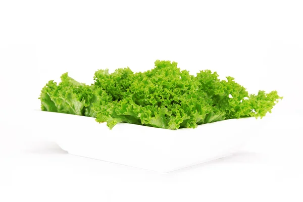 Salata arka plan — Stok fotoğraf