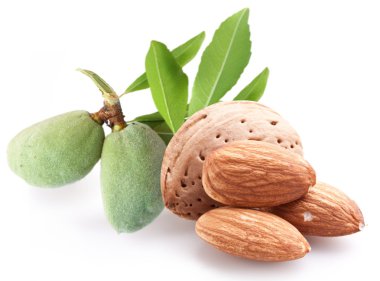 Group of almond nuts. clipart