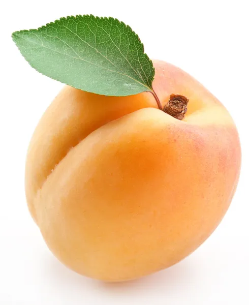 Aprikose mit Blatt auf weißem Hintergrund. — Stockfoto