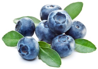 Blueberries with leaves clipart