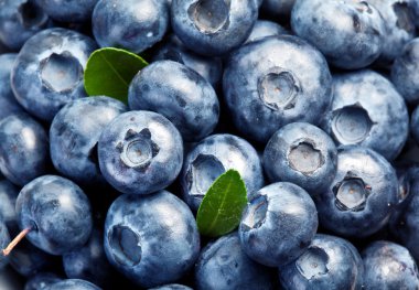 Blueberries with leaves clipart