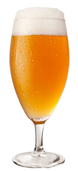 Copo de cerveja não filtrada isolado em um branco — Fotografia de Stock