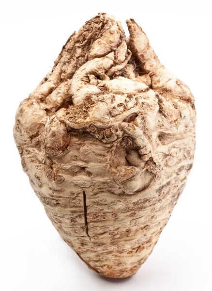 stock image Celeriac