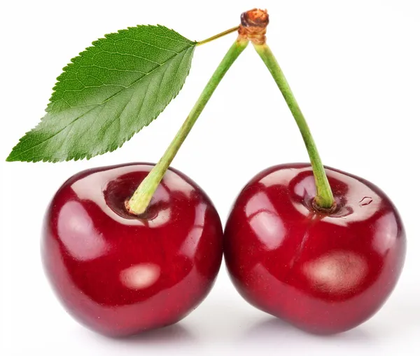 Two perfect sweet cherries with the leaf. — Stock Photo, Image
