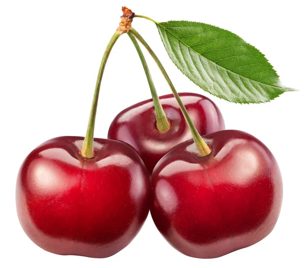 Three perfect sweet cherries with the leaf. — Stock Photo, Image