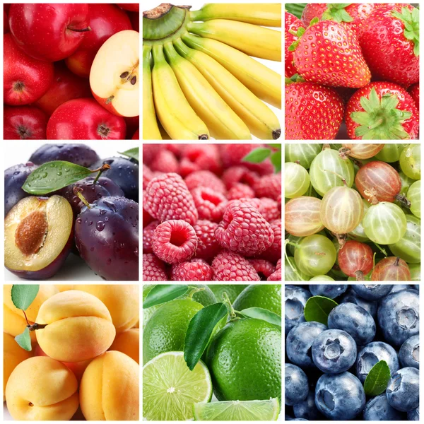 Zbiór owoców i jagód — Zdjęcie stockowe