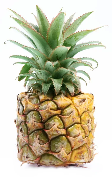 Cub de ananas — Fotografie, imagine de stoc