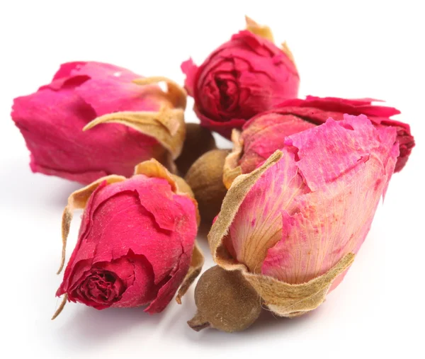 Un mucchio di rose da tè . — Foto Stock