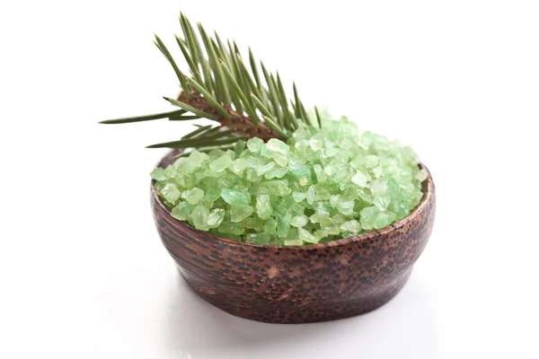 Pine branch with sea-salt. — Stock Photo, Image