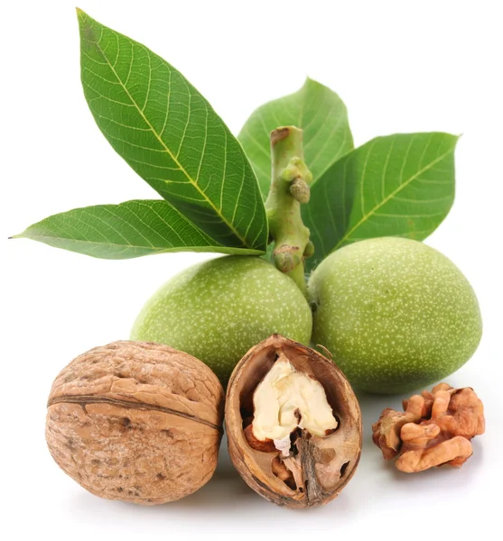 Green walnut; peeled walnut and its kernels. — Stock Photo, Image