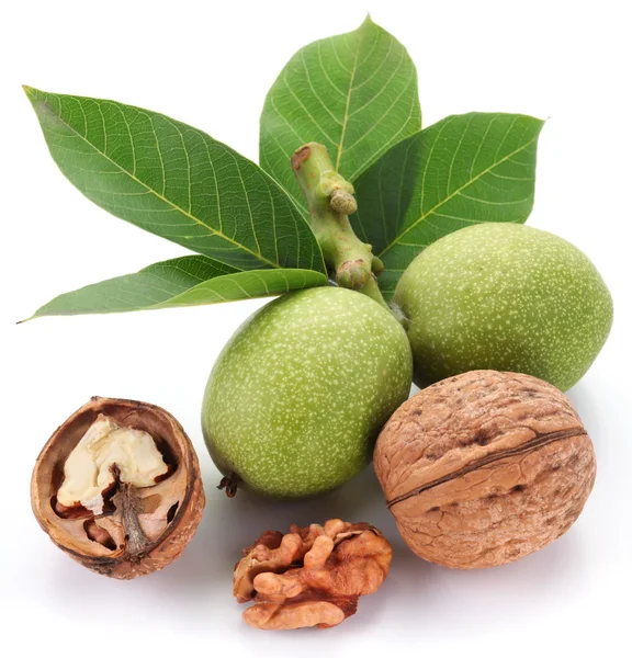 Vihreä saksanpähkinä; kuorittu saksanpähkinä ja sen siemenet . — kuvapankkivalokuva