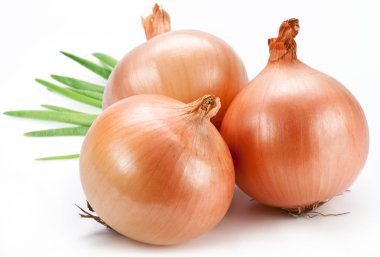 Onion on a white background clipart