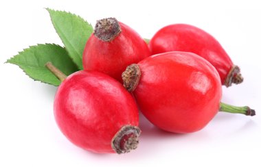 Group of rose hips. clipart