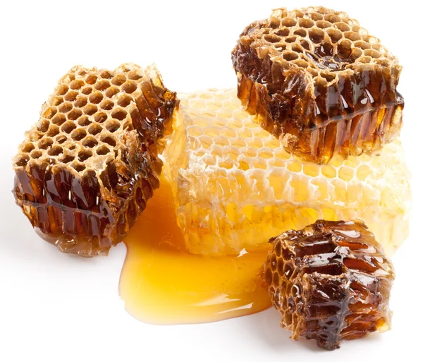 Honungskakor. — Stockfoto