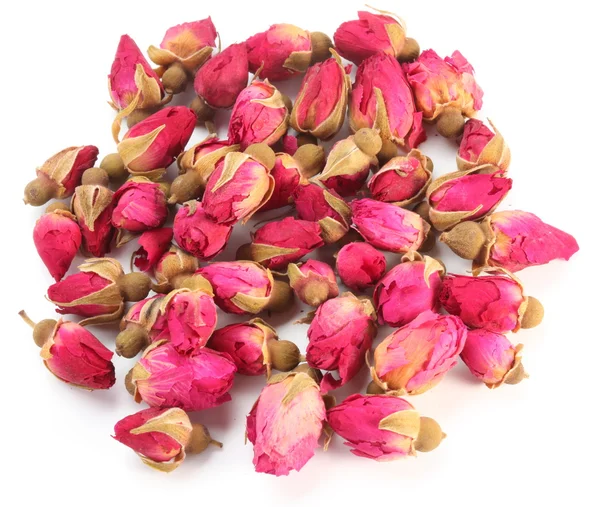 Haldy čajových růží. — Stock fotografie