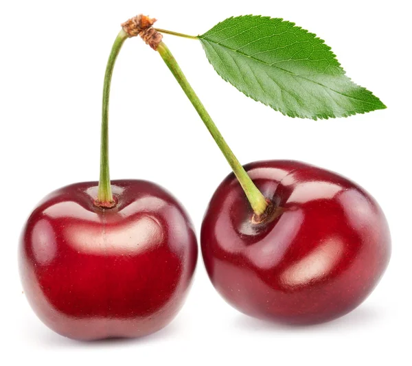 Two perfect sweet cherries with the leaf. — Stock Photo, Image
