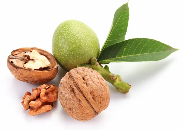 Zelené ořechy; loupané vlašské ořechy a jeho jádra. — Stock fotografie
