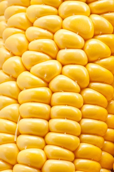 Close-up shot of corn. — Stock Photo, Image