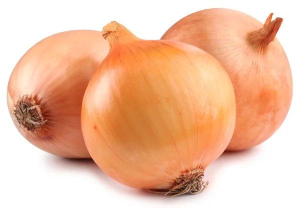 Onion on a white background — Stock Photo, Image