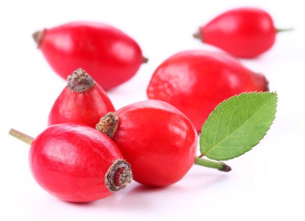 Group of rose hips.
