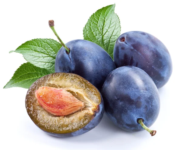Group of plums with leaf. — Stock Photo, Image